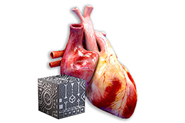 AR Medical App
